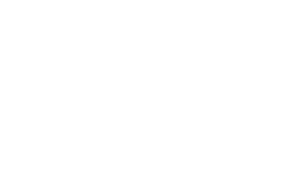 logo BDI