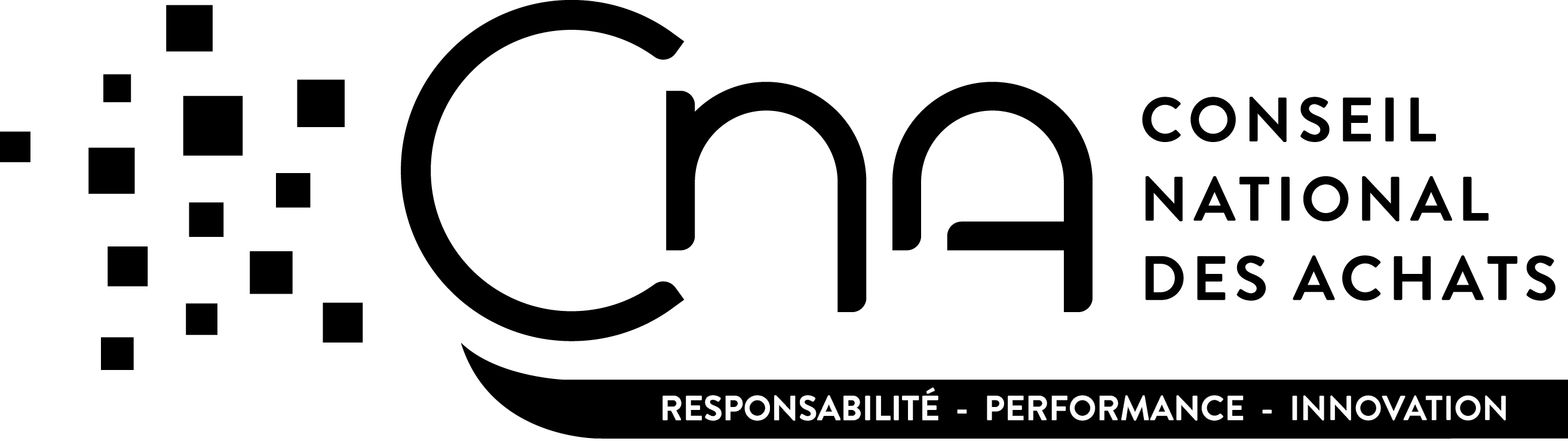 Cna Logo Monochrome Blanc