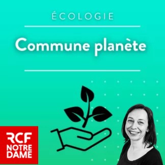 Rcf Replay Audio